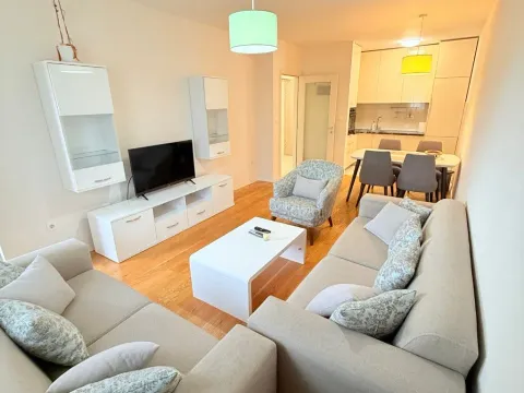 Izdavanje, jednosoban stan, 50m², Central Point, Podgorica - image 3