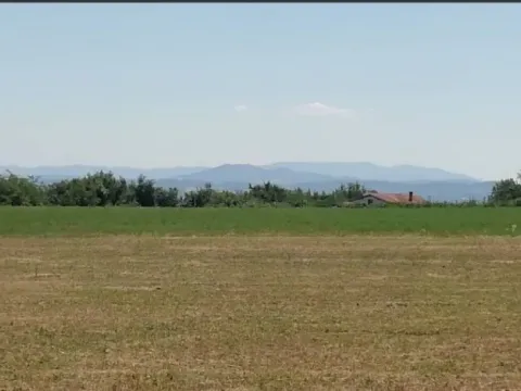 Prodaja, plac, 19500m², Koraćica, Mladenovac - image 6