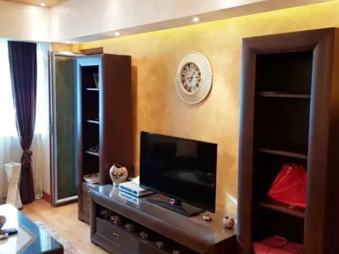 Izdavanje, jednosoban stan, 50m², Centar, Podgorica - image 8