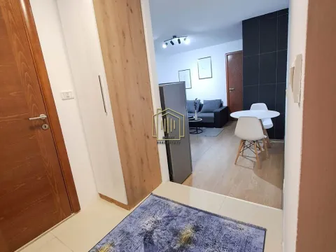 Izdavanje, jednosoban stan, 45m², Centar, Podgorica - image 7