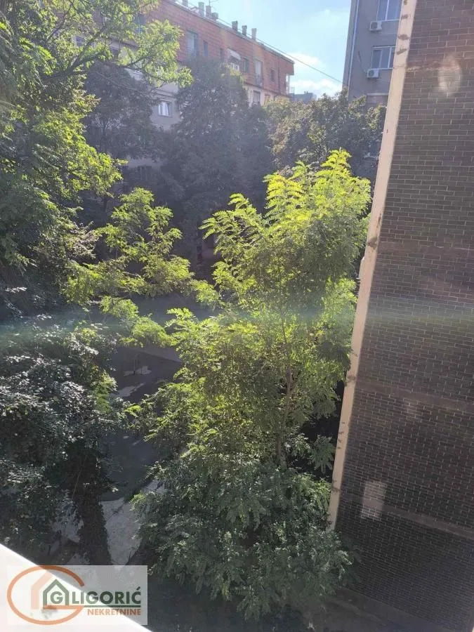 View from the window of surrounding greenery and buildings.