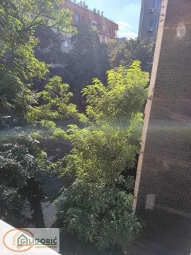 View from the window of surrounding greenery and buildings. - image 14