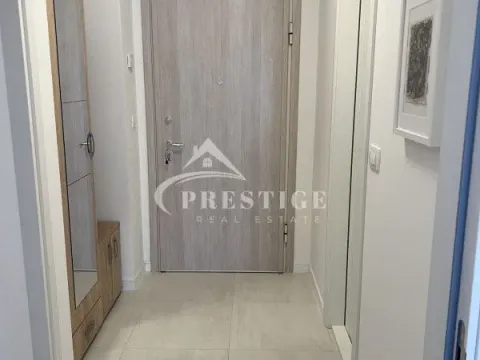 Izdavanje, jednosoban stan, 47m², Central Point, Podgorica - image 2