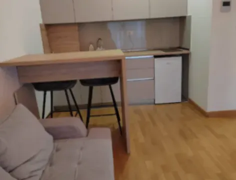 Rent, apartment, 38m², Velji Vinogradi, Budva - image 4