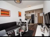 Izdavanje, jednosoban stan, 48m², Vezirov Most, Podgorica - image 9