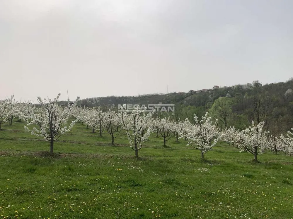 Prodaja, plac, 74500m², Arandjelovac, Srbija