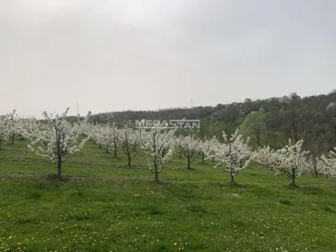 Prodaja, plac, 74500m², Arandjelovac, Srbija - image 6