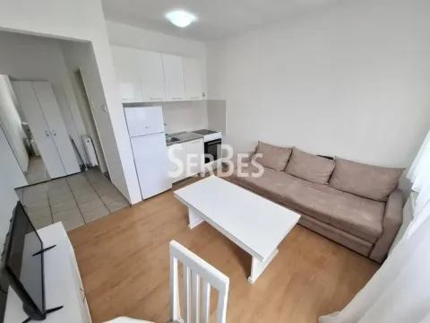 Izdavanje, jednosoban stan, 27m², Detelinara, Novi Sad Sve Podlokacije - image 3