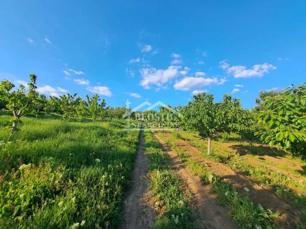 Prodaja, plac, 10000m², Ritopek, Grocka