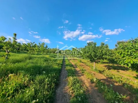 Sale, land lot, 10000m², Ritopek, Grocka - image 6