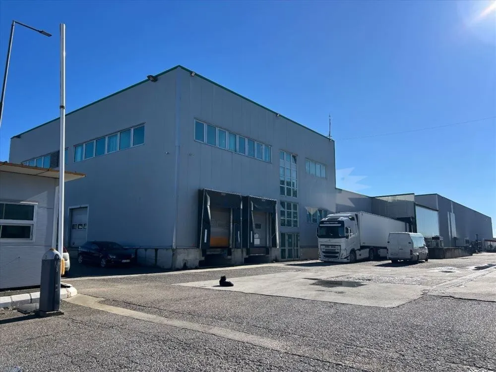Rent, office space, 3200m², Šimanovci, Pećinci