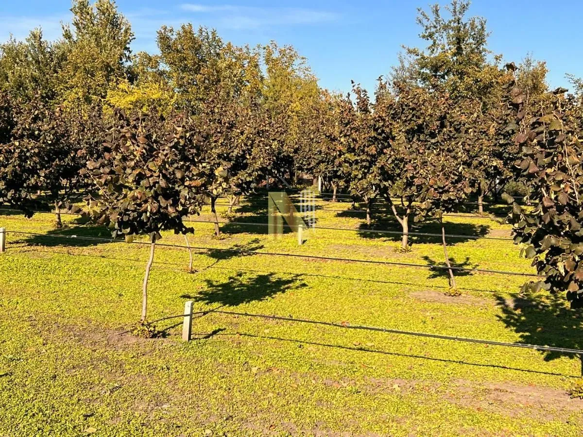 Prodaja, plac, 190m², Kikinda, Srbija