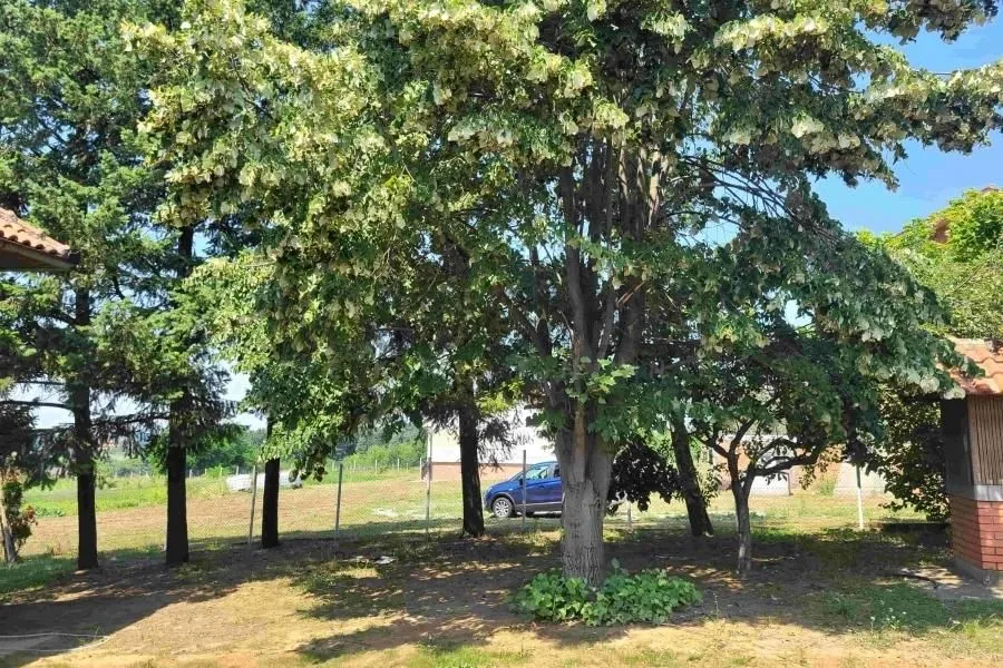 Prodaja, kuća, 140m², Barajevo (mesto), Barajevo