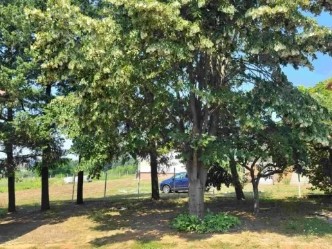 Prodaja, kuća, 140m², Barajevo (mesto), Barajevo - image 16