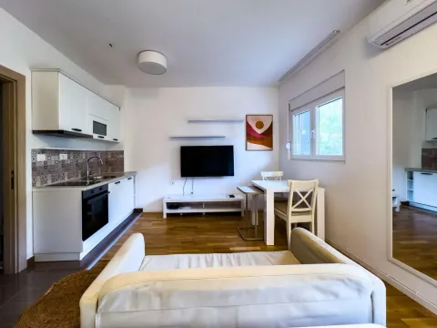 Izdavanje, garsonjera, 40m², Budva, Crna Gora