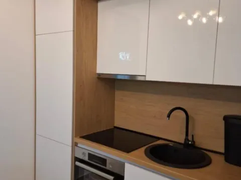 Izdavanje, jednosoban stan, 60m², Stara Varoš, Podgorica - image 3