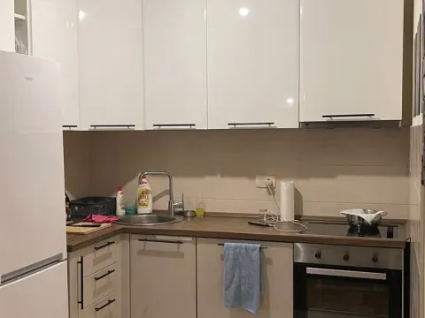 Rent, one bedroom apartment, 49m², Zagorič, Podgorica - image 3