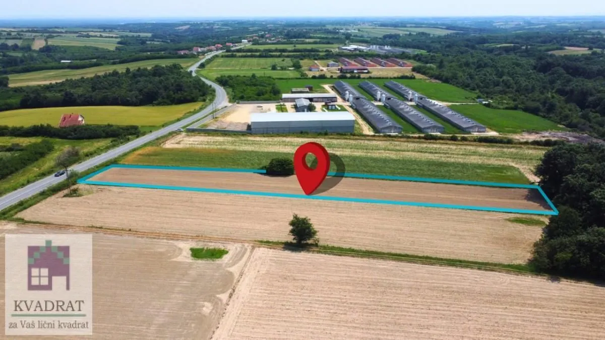 Prodaja, plac, 4000m², Zvezd, Vladimirci