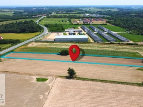 Prodaja, plac, 4000m², Zvezd, Vladimirci - image 2