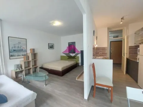 Rent, one bedroom apartment, 36m², Palilulska Pijaca, Palilula Sve Podlokacije - image 7