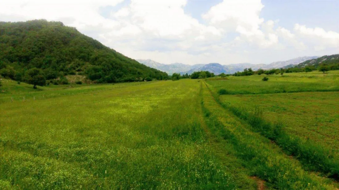 Prodaja, plac, 218697m², Grahovo, Nikšić