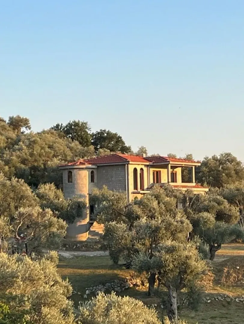 View of an unfinished house surrounded by olive trees.
