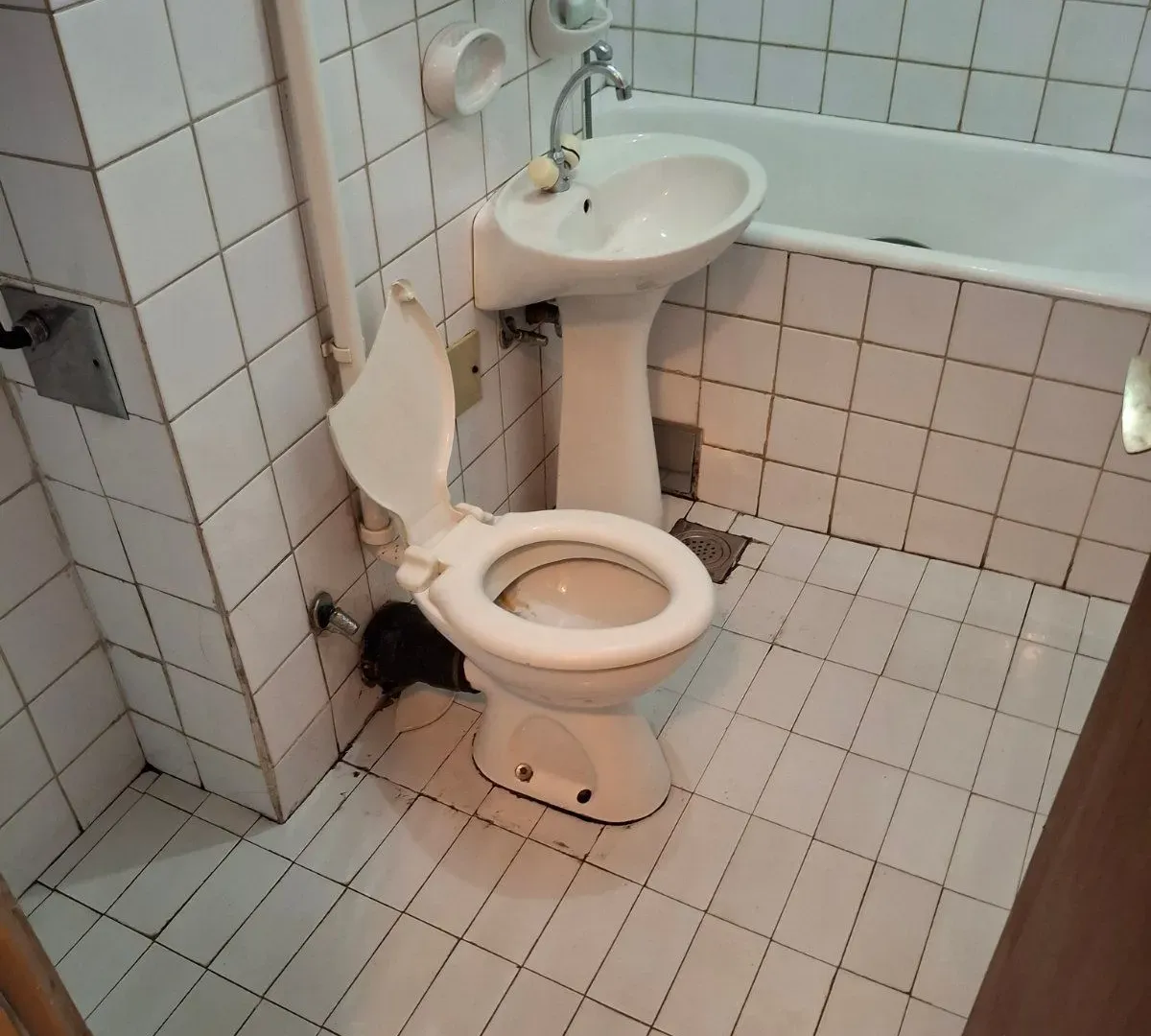 Prodaja, jednosoban stan, 56m², Lepa Kata, Podgorica