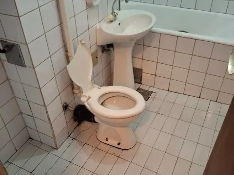 Sale, one bedroom apartment, 56m², Lepa Kata, Podgorica - image 8