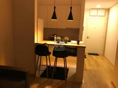 Izdavanje, dvosoban stan, 35m², Južni Bulevar, Vračar Sve Podlokacije - image 2