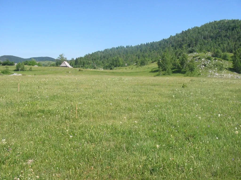 Prodaja, plac, 4696m², Žabljak, Crna Gora