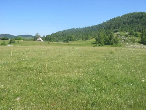 Prodaja, plac, 4696m², Žabljak, Crna Gora - image 6