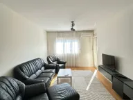 Izdavanje, jednosoban stan, 50m², Central Point, Podgorica - image 1