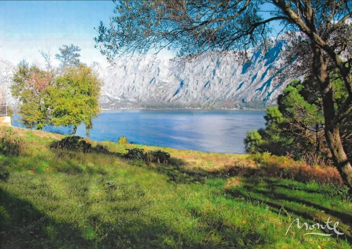 Prodaja, plac, 5000m², Prčanj, Kotor