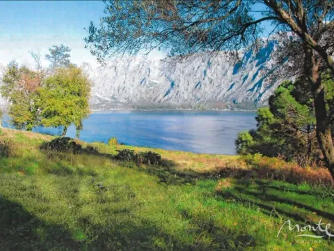 Prodaja, plac, 5000m², Prčanj, Kotor - image 8