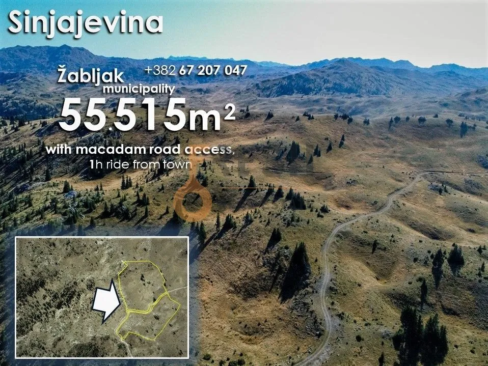 Sale, land lot, 55515m², Žabljak, Crna Gora