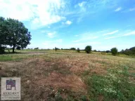 Prodaja, plac, 50m², Trlić, Ub - image 2