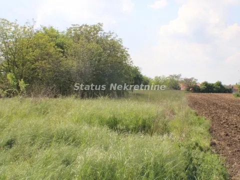 Prodaja, plac, 3800m², Temerin, Novi Sad - image 6