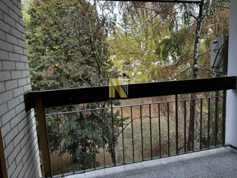 Pogled sa terase na dvorište puno zelenila. - image 12