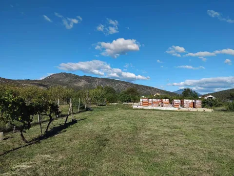 Prodaja, plac, 1520m², Beri, Podgorica - image 2