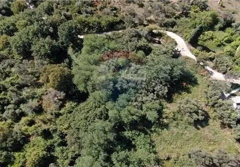 Prodaja, plac, 14000m², Herceg Novi, Crna Gora - image 19