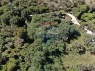 Prodaja, plac, 14000m², Herceg Novi, Crna Gora - image 19