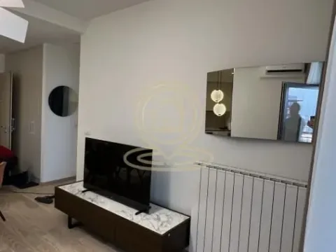 Izdavanje, dvosoban stan, 56m², Savski Venac, Beograd - image 15