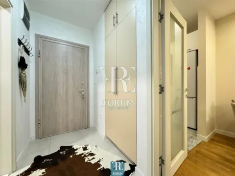 Izdavanje, jednosoban stan, 42m², Central Point, Podgorica - image 8