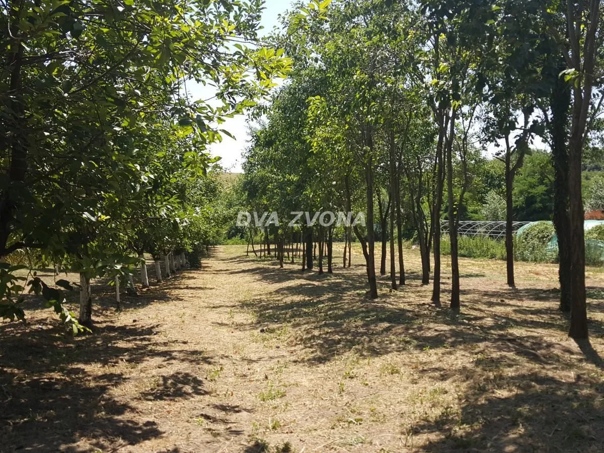 Prodaja, kuća, 65m², Čortanovci, Inđija