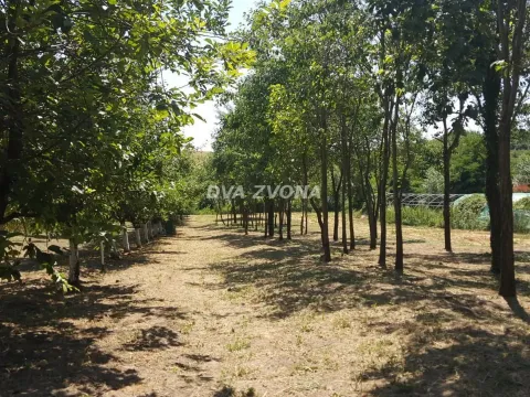 Prodaja, kuća, 65m², Čortanovci, Inđija - image 6