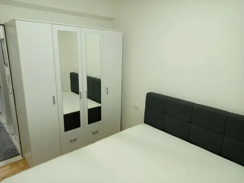 Izdavanje, jednosoban stan, 44m², Tuški Put, Podgorica - image 8