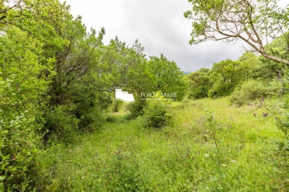 Sale, land lot, 1803m², Zelenika, Herceg Novi