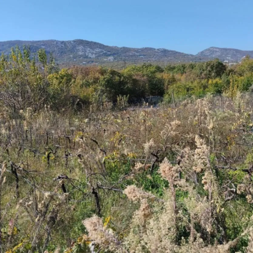 Prodaja, plac, 5000m², Podgorica, Crna Gora