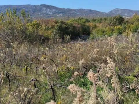 Prodaja, plac, 5000m², Podgorica, Crna Gora - image 3