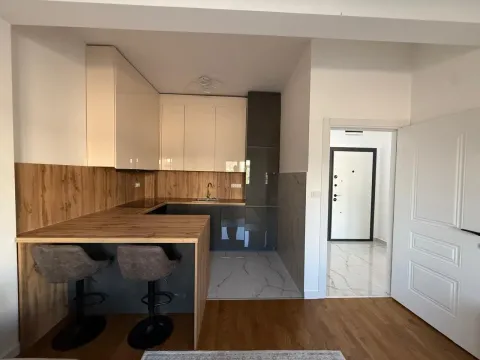 Prodaja, jednosoban stan, 43m², Zabjelo, Podgorica - image 2